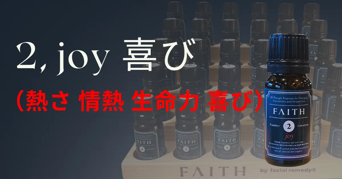FAITH-NO2